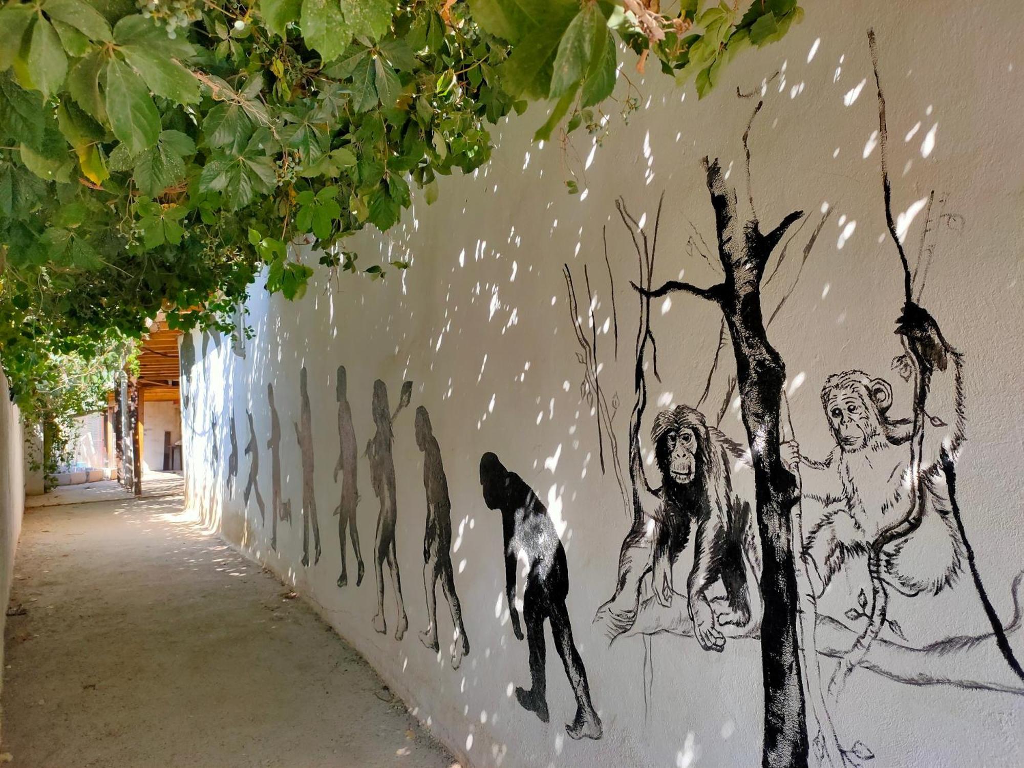 Oludeniz Hostel מראה חיצוני תמונה